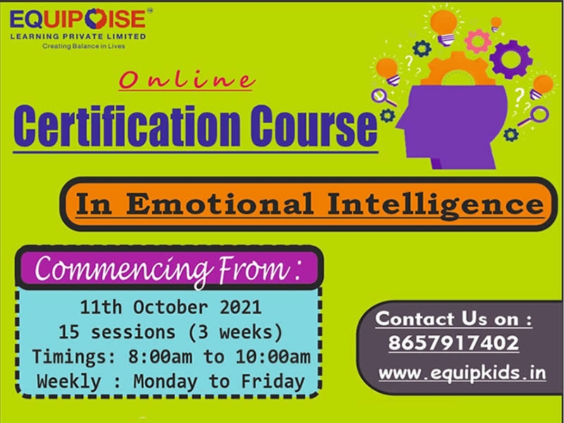 Online certification course in emotional Intelligence